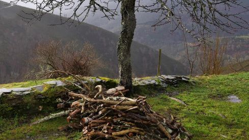 RUTA RUIDEFERROS A FUENTE DE OLIVA (BALBOA) RUTA RUIDEFERROS A FUENTE DE OLIVA (BALBOA)