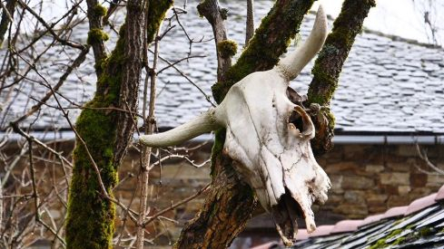 RUTA RUIDEFERROS A FUENTE DE OLIVA (BALBOA) RUTA RUIDEFERROS A FUENTE DE OLIVA (BALBOA)