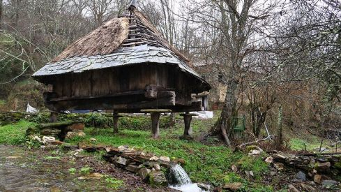 RUTA RUIDEFERROS A FUENTE DE OLIVA (BALBOA) RUTA RUIDEFERROS A FUENTE DE OLIVA (BALBOA)