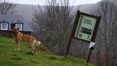 RUTA RUIDEFERROS A FUENTE DE OLIVA (BALBOA) RUTA RUIDEFERROS A FUENTE DE OLIVA (BALBOA)