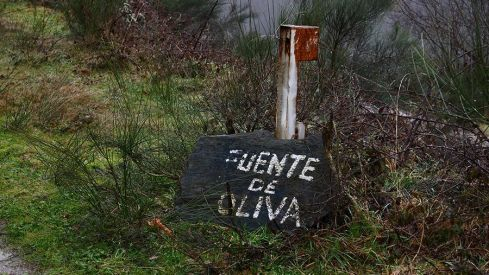 RUTA RUIDEFERROS A FUENTE DE OLIVA (BALBOA) RUTA RUIDEFERROS A FUENTE DE OLIVA (BALBOA)