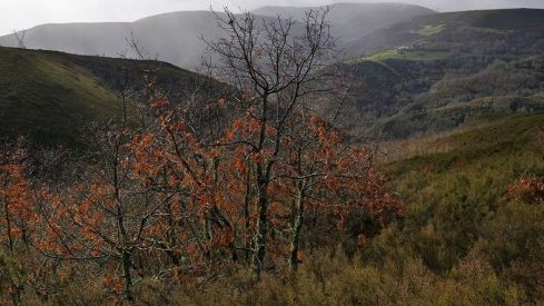 RUTA RUIDEFERROS A FUENTE DE OLIVA (BALBOA) RUTA RUIDEFERROS A FUENTE DE OLIVA (BALBOA)