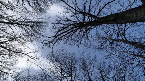 RUTA A PEÑACAIRA Y CORRALES (BARJAS) 070321