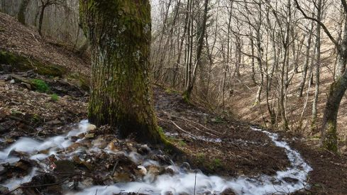 RUTA A PEÑACAIRA Y CORRALES (BARJAS) 070321