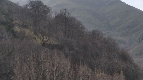 RUTA A PEÑACAIRA Y CORRALES (BARJAS) 070321