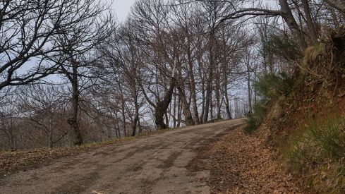 RUTA A PEÑACAIRA Y CORRALES (BARJAS) 070321 RUTA A PEÑACAIRA Y CORRALES (BARJAS) 070321