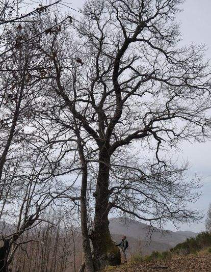 RUTA A PEÑACAIRA Y CORRALES (BARJAS) 070321 RUTA A PEÑACAIRA Y CORRALES (BARJAS) 070321
