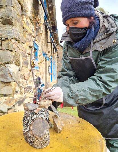 PRADA DE LA SIERRA 8200321)