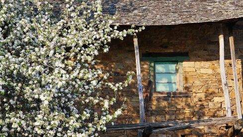 PASEOS DE PRIMAVERA: SAN CLEMENTE (CACABELOS) 060421