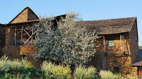 PASEOS DE PRIMAVERA: SAN CLEMENTE (CACABELOS) 060421