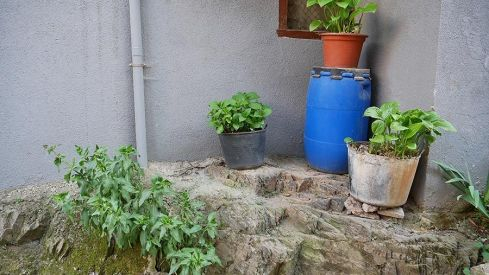 PASEOS DE PRIMAVERA: SOBRADO 070421