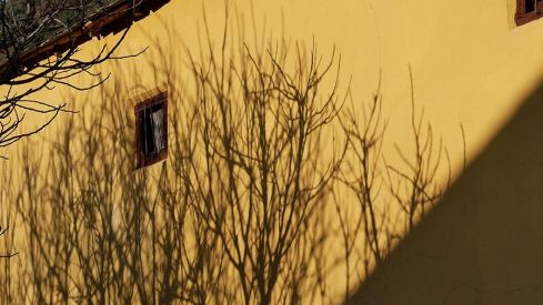 PASEOS DE PRIMAVERA: SOBRADO 070421