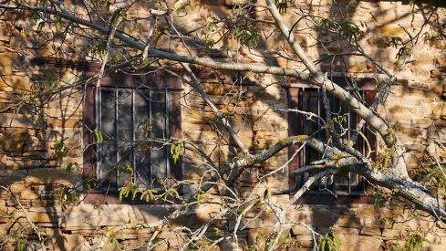 PASEOS DE PRIMAVERA: SAN CLEMENTE (CACABELOS) 060421