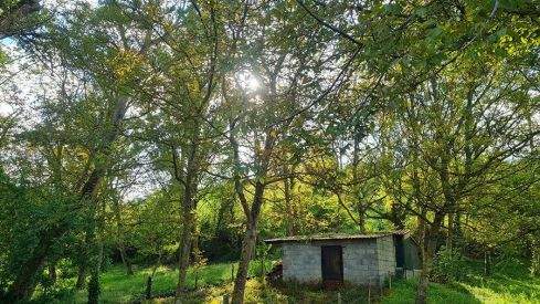 PASEOS DE PRIMAVERA: VALDECANADA 280421