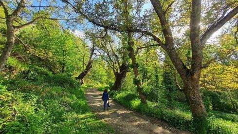 PASEOS DE PRIMAVERA: VALDECANADA 280421