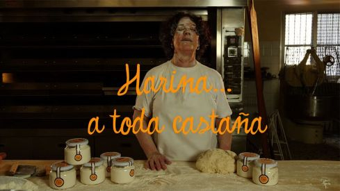 harina castaña