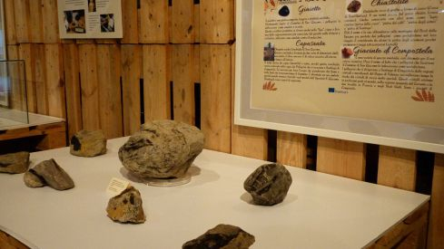 211210_ExpoTesoros2 1