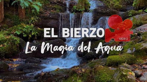 video fitur cascadas