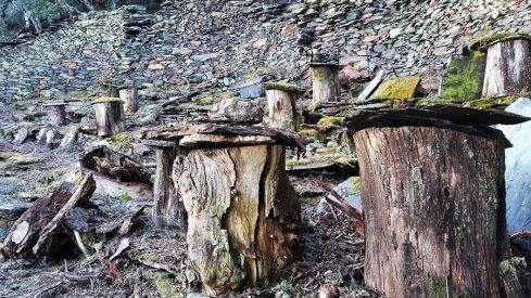Cortines de Fonfr� en la comarca del Bierzo