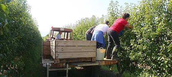 20130831_012