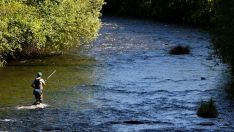 Pesca. Un hombre pescando Pesca. Un hombre pescando