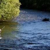 Pesca. Un hombre pescando