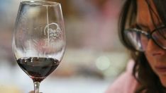 vinos bierzo do guerra ucrania