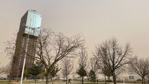 WhatsApp Image 2022-03-15 at 10.13