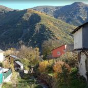 Imagen de Palacios del Sil 