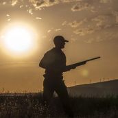 Aprobados 546 permisos de caza en las reservas leonesas de Riaño, Mampodre y Ancares 