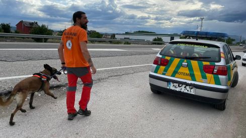 perros busqueda senora camponaraya