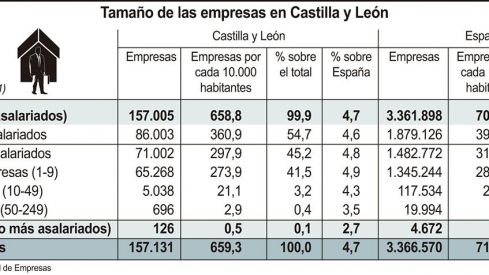 Tamaño de las empresas en Castilla y León (15cmx6cm)