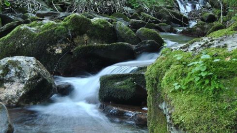 Derrumbe de parte del viaducto del Castro en el municipio de Vega de Valcarce (Le�