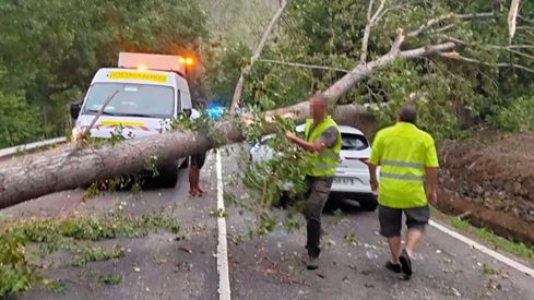 WhatsApp Image 2022-06-16 at 12.20.56 PM copia1