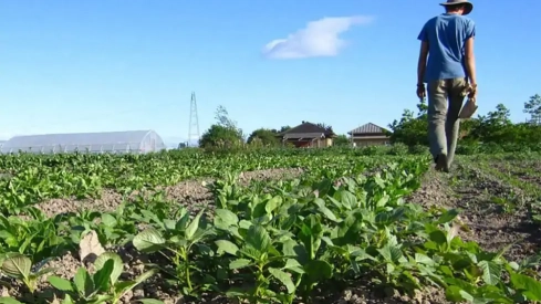 El Gobierno autoriza 1,5 millones para ampliar ayudas a agricultores afectados por el incremento del precio de los fertilizantes