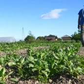 El Gobierno autoriza 1,5 millones para ampliar ayudas a agricultores afectados por el incremento del precio de los fertilizantes