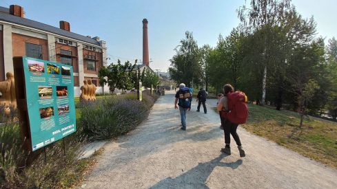 220720_TesorosDelCamino_31