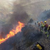 Olegario Ramón responde al CSIF sobre la situación de los Bomberos Forestales | Archivo Infobierzo