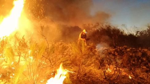 WhatsApp Image 2022-08-05 at 1.07.40 PM