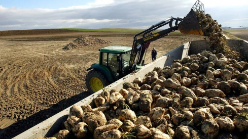 El Gobierno adelantará casi 2.500 millones a los agricultores y ganaderos por la PAC