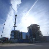 Forestalia Cubillos del Sil 