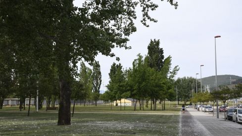 El ascenso de las temperaturas de la próxima semana disparará las alergias en Castilla y León