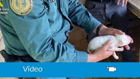 perro burgos guardia civil