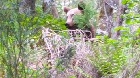 345233324_250034727596338_7816970448880427300_n1