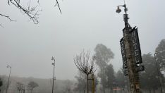Día de frío y niebla en El Bierzo 