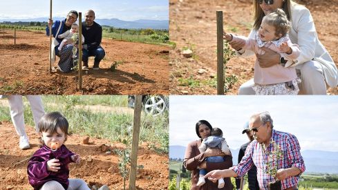 bosque clinica ponferrada prada a tope