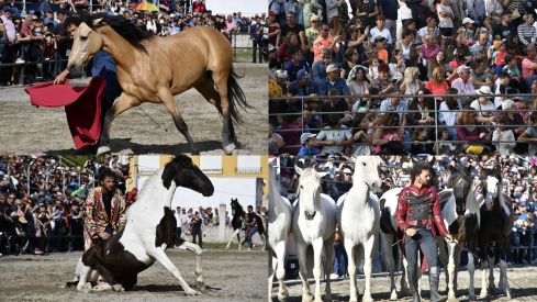 camponaraya caballos