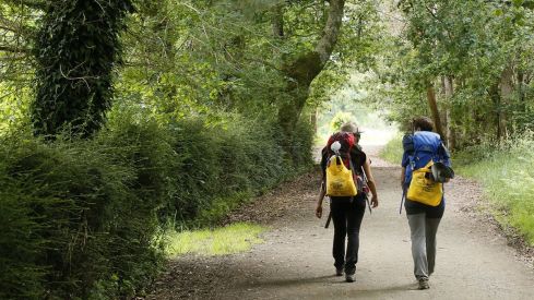 Imagen de unos peregrinos realizando el Camino de Santiago 