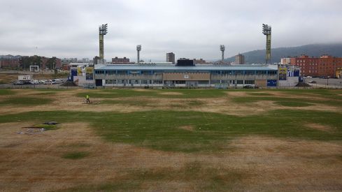 cesped anexo toralin