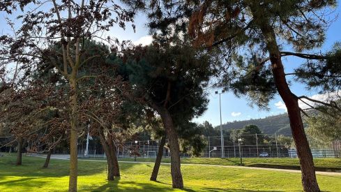 Parque del Temple (Ponferrada)